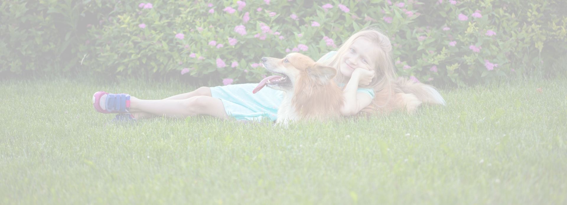 Safer, Better, Healthier Lawn Care Safer, Better, Healthier Lawn Care