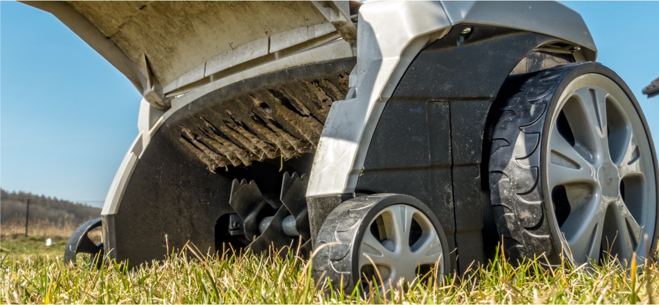 Aerating lawn