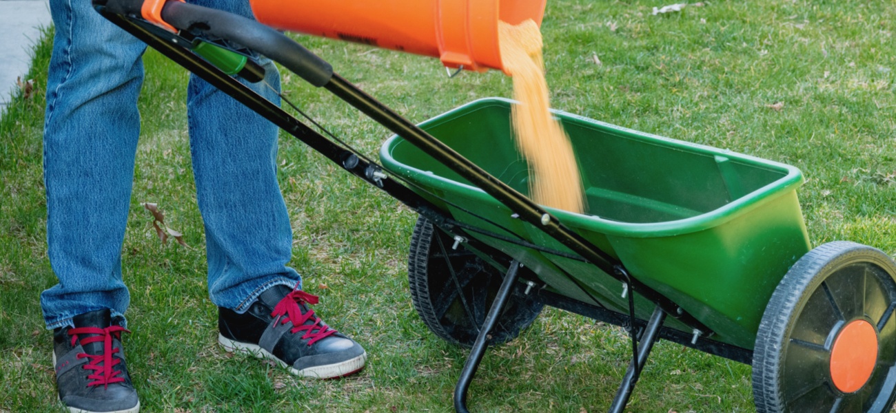Man pouring lawn fertilizer in drop spreader