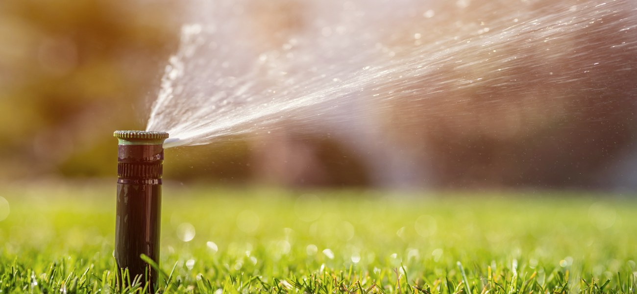 Sprinkler watering lawn