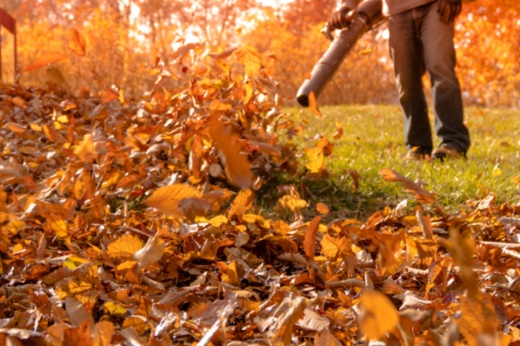 Lawn care blowing fall leaves