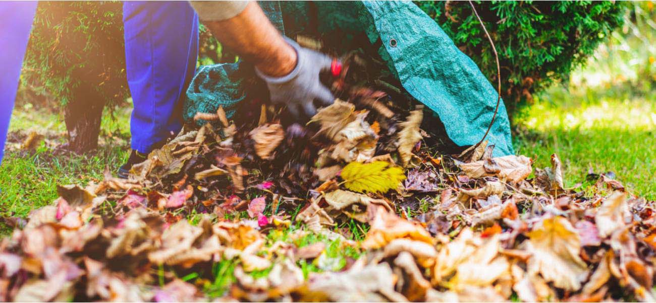 lawnganics12-2025img-02.jpg?Revision=7S5&Timestamp=C7Sn37