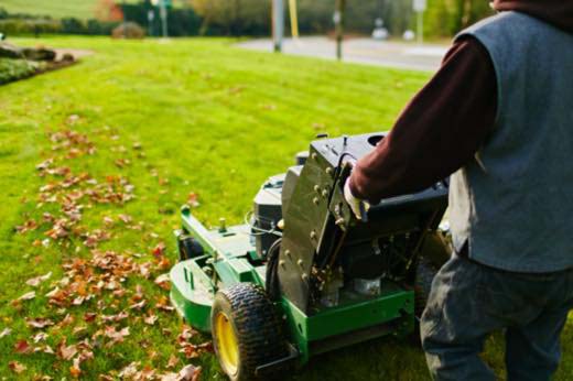 A person mows leaves on a lawn.