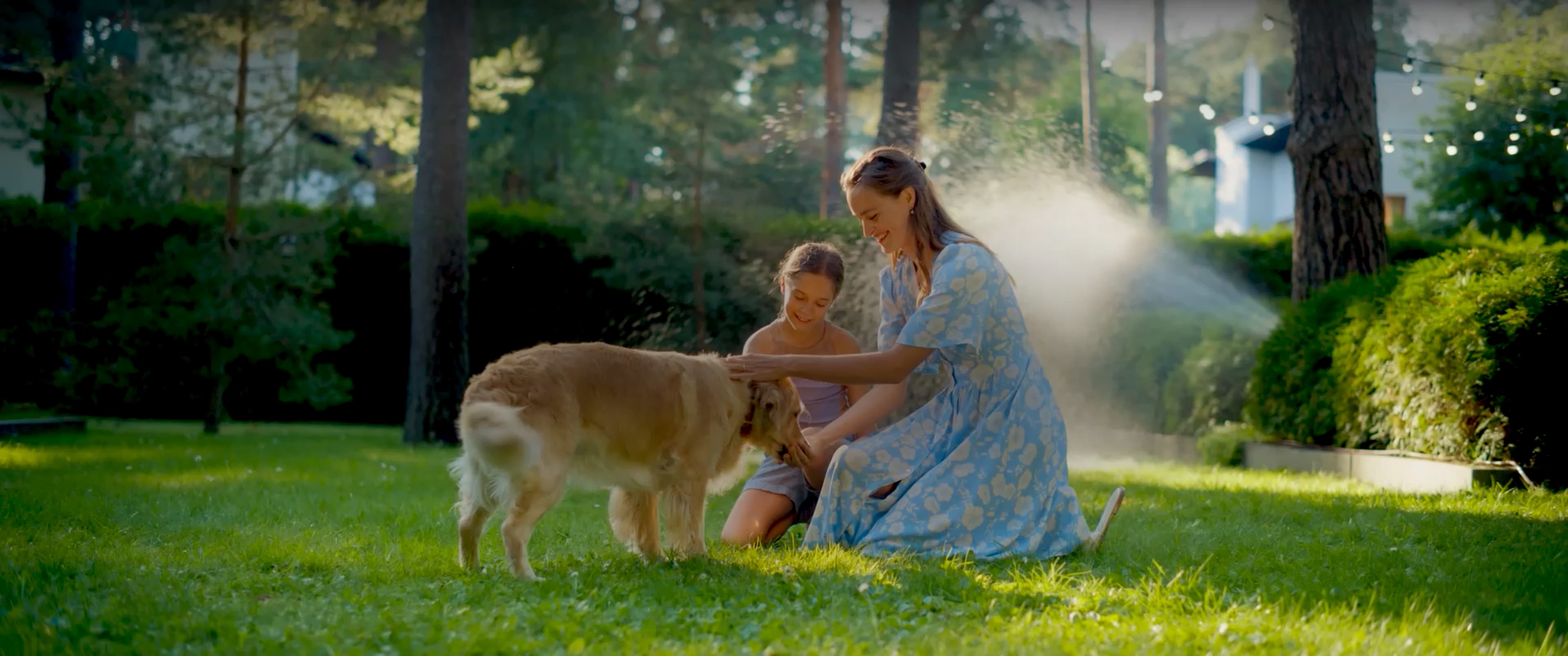 Organic-Based Lawn Care Lawnganics is an organic approach to lawn care with image of freshly cut organic-based lawn